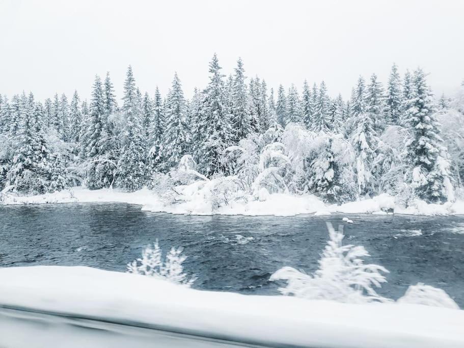 Cozy Mountain Cottage With Beautiful Views & Sauna Beitostolen Eksteriør bilde