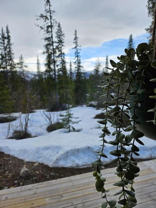 Cozy Mountain Cottage With Beautiful Views & Sauna Beitostolen Eksteriør bilde